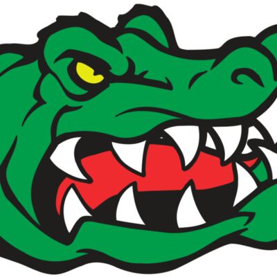 AR GATOR 19 RQC Thumbnail