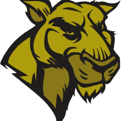 AR5 COUGAR 18 RQC Thumbnail