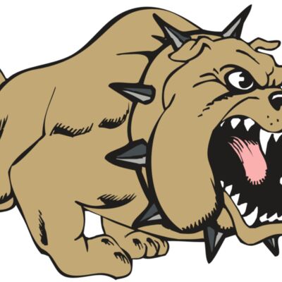 BAW BULLDOG 01 RC Thumbnail