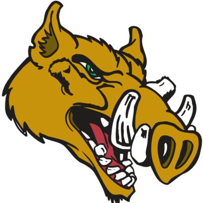 AR RAZORBACK 17 RC Thumbnail